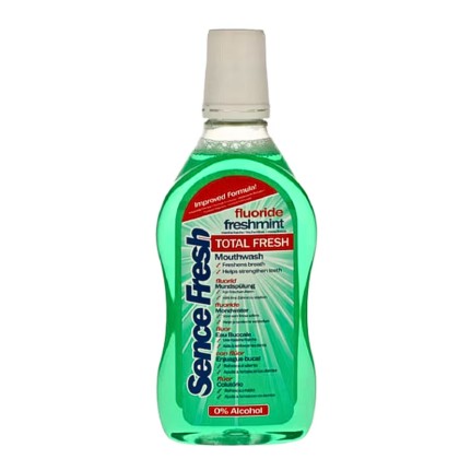 SENCE APA GURA 500ML COOLMINT*12