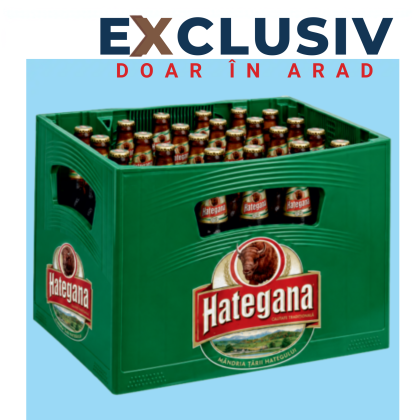 NAVETA HATEGANA STICLA 0,5L 20/NAV