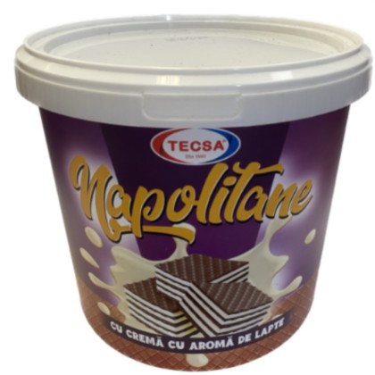 TECSA NAP. LAPTE 900GR GALEATA