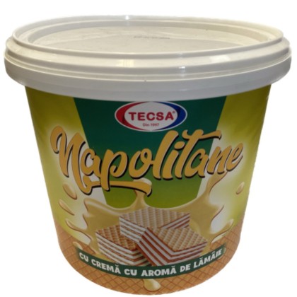 TECSA NAP.VANILIE 900GR GALEATA