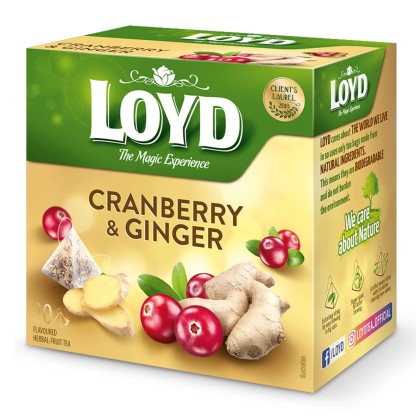 LOYD PIR MERISOARE,GHIMBIR 20X2G (10B)