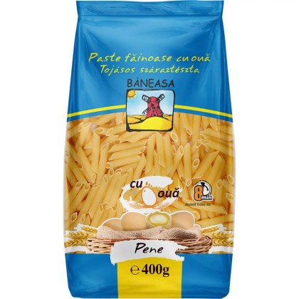 BNS PENNE OUA 400G