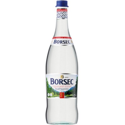 BORSEC APA CARBOGAZOASA 0.75L 6/BAX SGR*