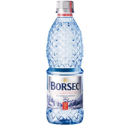 BORSEC APA PLATA 0.5L 12/BAX SGR*