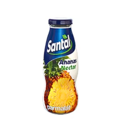 SANTAL ANANAS NECTAR 0.2L 12/BAX SGR*