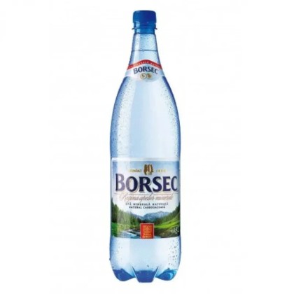 BORSEC APA CARBOGAZOASA 1L 6/BAX SGR*