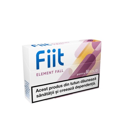 FIIT ELEMENT FALL