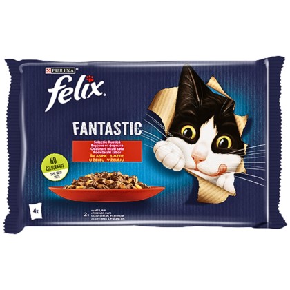 FELIX FNTC GiJ MV Bf&Chkn 12(4x85g)