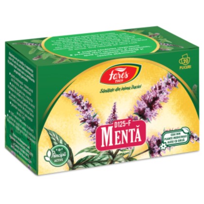 MENTA-CEAI DZ 20PLIC