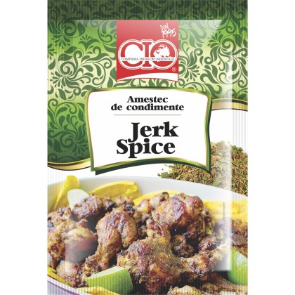 CONDIMENT JERKSPICES 20GR