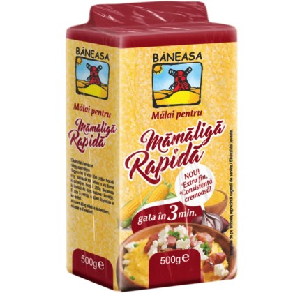 BNS MALAI RAPID EXTR GRIS 500G