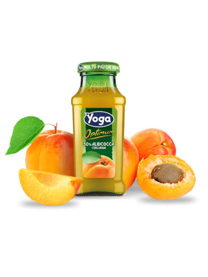 NECTAR DE CAISE YOGA 200ML SGR